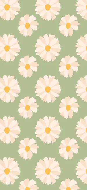 Cute Spring Daisies Iphone Wallpaper
