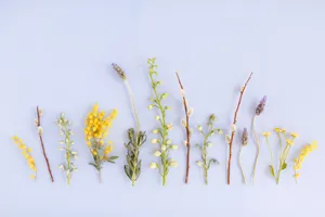 Cute Spring Long Flowers Wallpaper