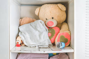 Cute Teddy Bear In A Cabinet Wallpaper