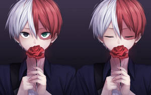 Cute Todoroki Holding Red Rose Wallpaper