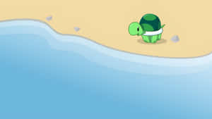 Cute Turtle By Ocean Wallpaper