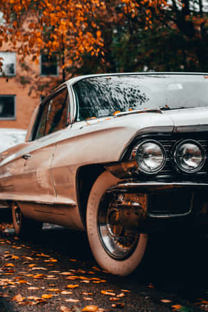 Cute Vintage Car Parked Wallpaper