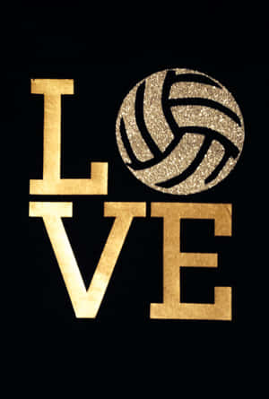 Cute Volleyball Love Wallpaper