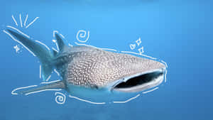 Cute Whale Shark Drawing Wallpaper