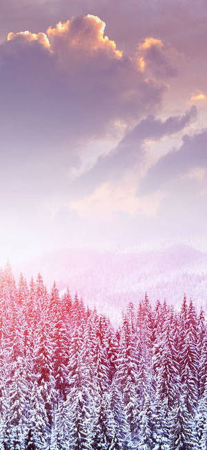 Cute Winter Iphone - Cozily Celebrate The Season! Wallpaper