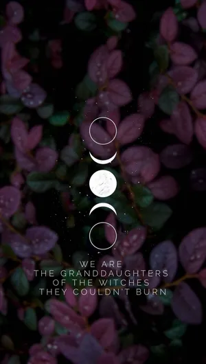 Cute Witchy Phases Of The Moon With Leaves Wallpaper