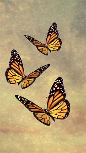 Cute Yellow Butterflies In The Sky Wallpaper
