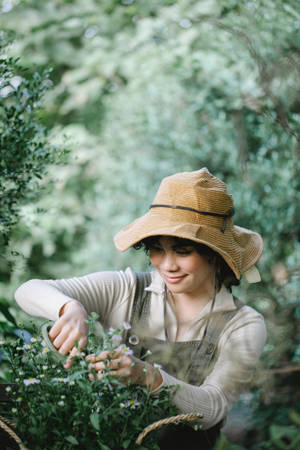 Cutting Flowers In Garden Wallpaper