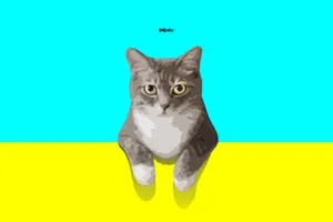 Cyan And Yellow Cat Wallpaper