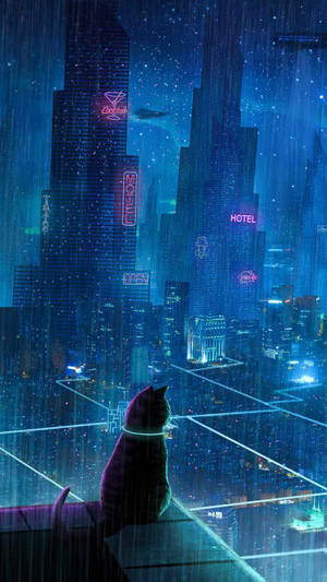 Cyberpunk Iphone Black Cat Wallpaper