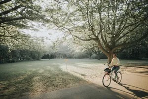 Cycling Through The Park Wallpaper