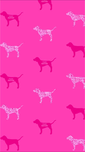 Dachshunds On A Pink Background Wallpaper