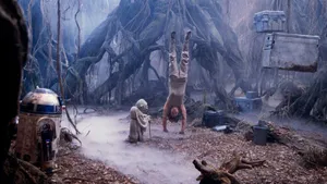Dagobah Training Session Star Wars Wallpaper