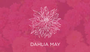 Dahlia May Floral Desktop Background Wallpaper