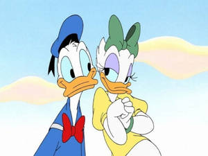 Daisy Duck In Love Wallpaper