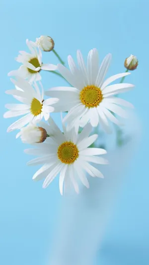 Daisy Flower Arrangement Phone Wallpaper