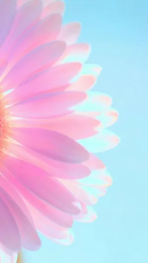 Daisy Flower Purple Pastel Iphone Wallpaper