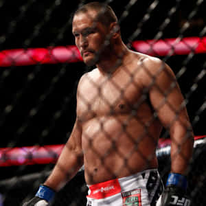 Dan Henderson Walking Inside The Ring Wallpaper