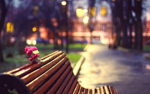 Danbo On Bench Wallpaper