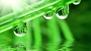 Dancing In Spring Showers Wallpaper