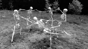 Dancing_ Skeletons_in_ Field_ B W Wallpaper