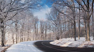 Dangerous Icy Road In Winter Forest Wallpaper