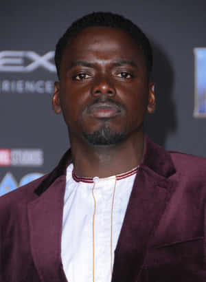 Daniel Kaluuya, Multi-award Winning British Actor Wallpaper