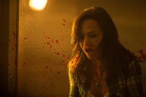 Danielle Harris - Stunning Portrait Wallpaper