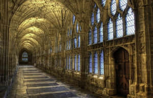 Dare To Enter The Forbidden Corridor Of Hogwarts