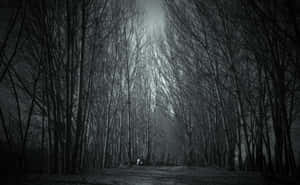 Dare To Tread Into The Eerie Haunted Forest Wallpaper