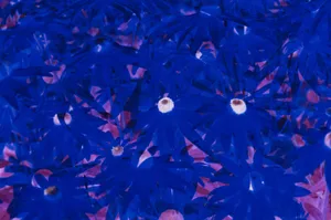 Dark Blue Floral Aesthetic.jpg Wallpaper