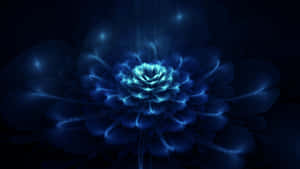 Dark Blue Rose Abstract 1920 X 1080 Wallpaper