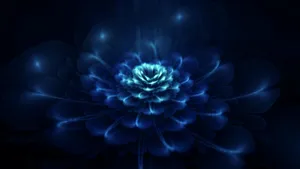 Dark Blue Rose Abstract 1920 X 1080 Wallpaper