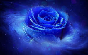 Dark Blue Rose Abstract 1920 X 1200 Wallpaper