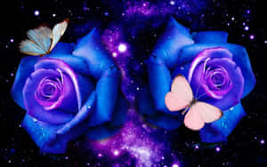 Dark Blue Rose Abstract 2560 X 1600 Wallpaper