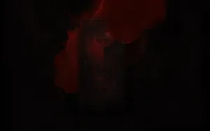 Dark Brotherhood Black Book Wallpaper