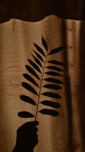 Dark Brown Aesthetic Leaf Wallpaper