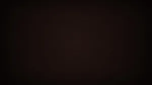 Dark Brown Textured Background Wallpaper