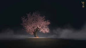 Dark Cherry Blossom Tree In The Nowhere Wallpaper