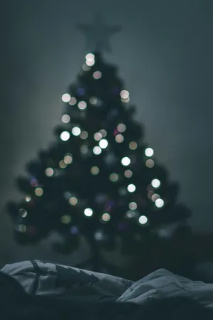 Dark Christmas Tree Bokeh Wallpaper