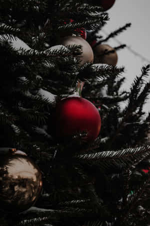 Dark Christmas Treewith Red Ornaments Wallpaper