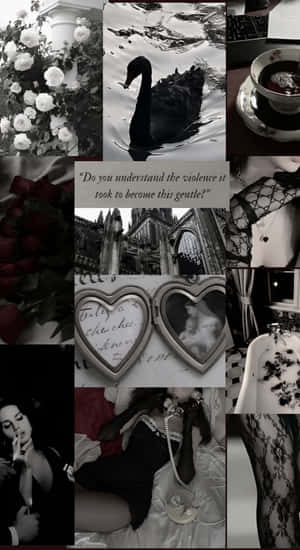 Dark Coquette Elegance Wallpaper