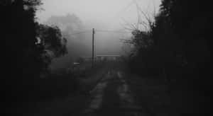 Dark Depressing Foggy Weather Wallpaper