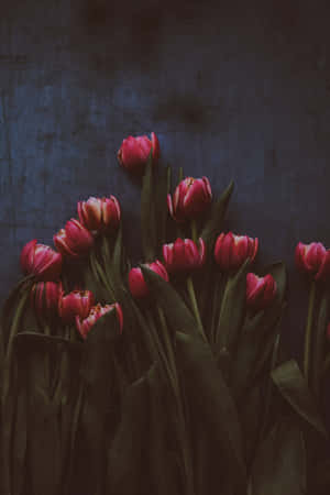 Dark Elegance Tulips Wallpaper