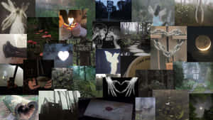 Dark Fairycore Aesthetic Collage Wallpaper