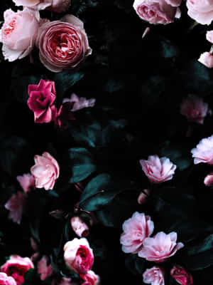 Dark Floral Elegance.jpg Wallpaper