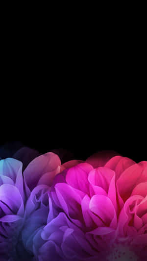 Dark Floral Gradienti Phone Wallpaper Wallpaper