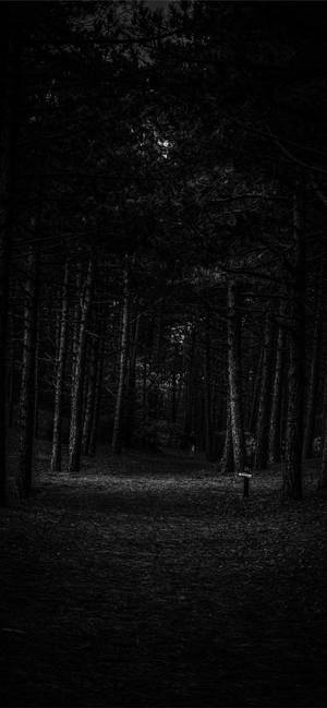 Dark Forest Black Apple Iphone Wallpaper