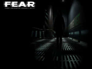 Dark Forest Fear Wallpaper Wallpaper