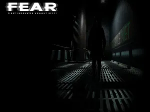 Dark Forest Fear Wallpaper Wallpaper